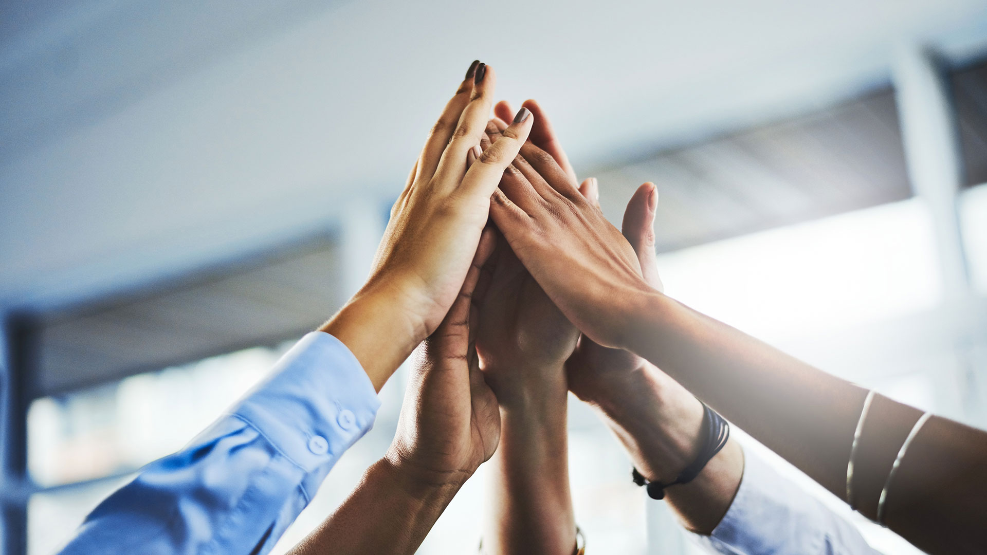 Celebrating Excellence: Our Award-Winning <br>Achievements